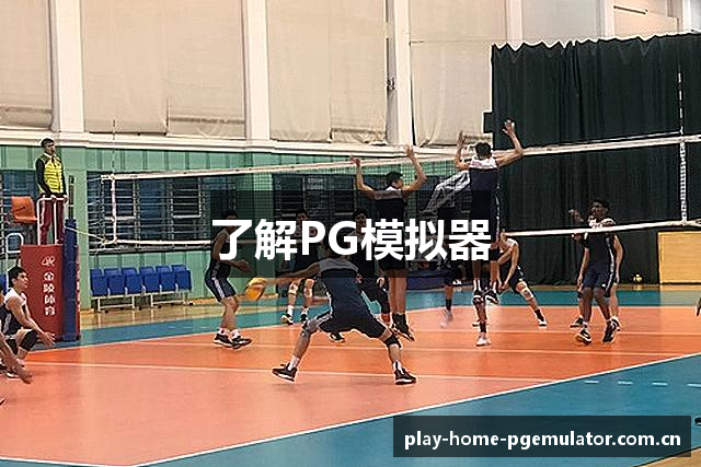 了解PG模拟器